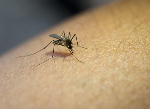 apfdigital_399542_tapa_2842024_13645