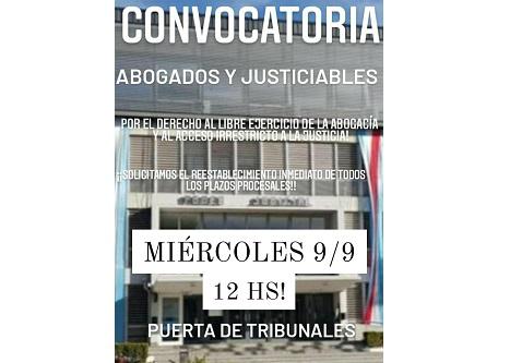 apfdigital_345147_tapa_892020_13721