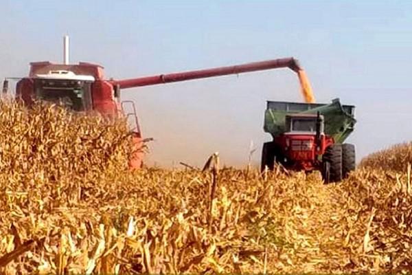 apfdigital_390773_tapa_3182023_11426