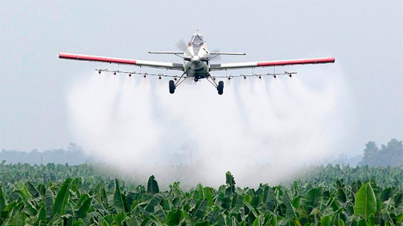 apfdigital_399808_tapa_652024_135117