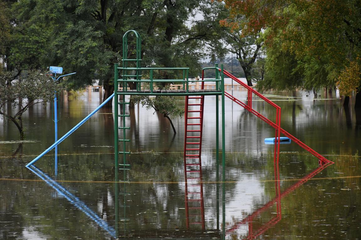 apfdigital_399917_tapa_952024_9925