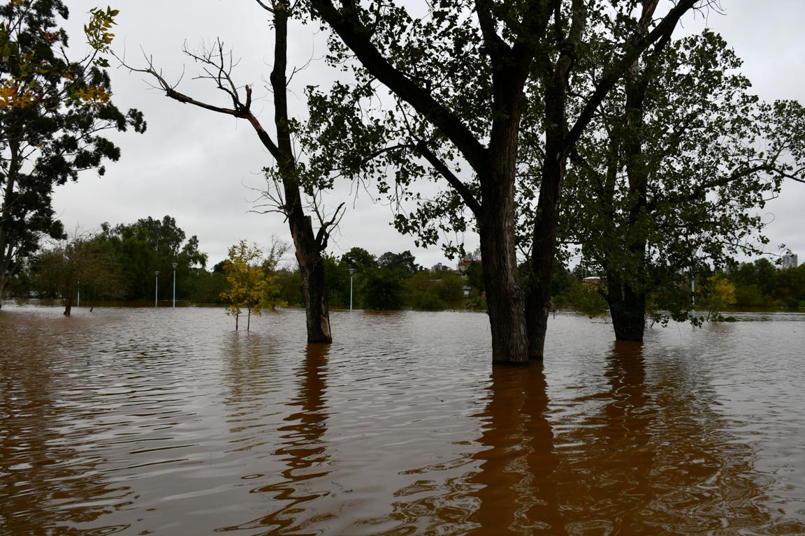 apfdigital_400085_tapa_1452024_85711