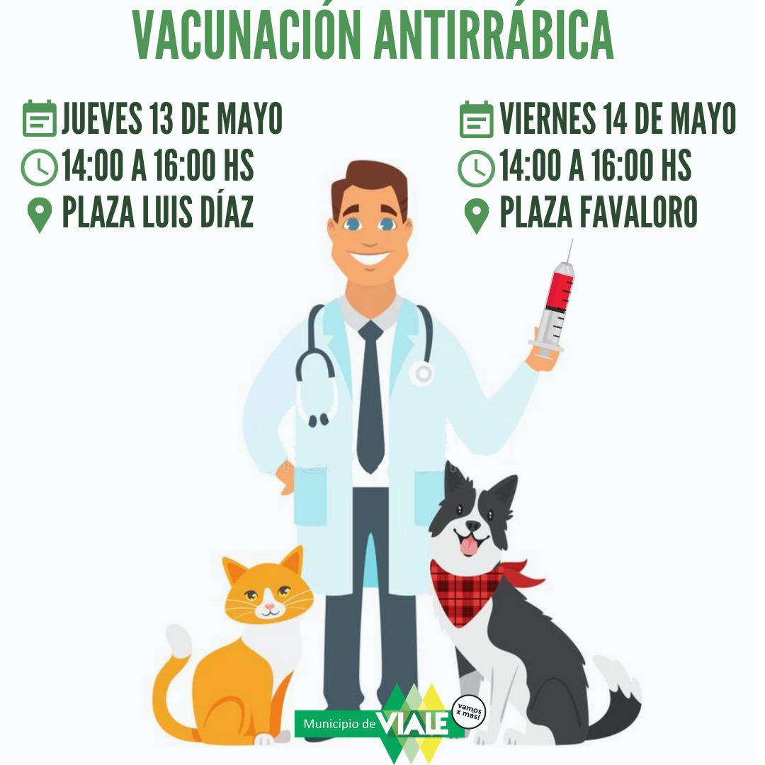 vacunacion antirrabica